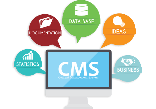 CMS Application Development